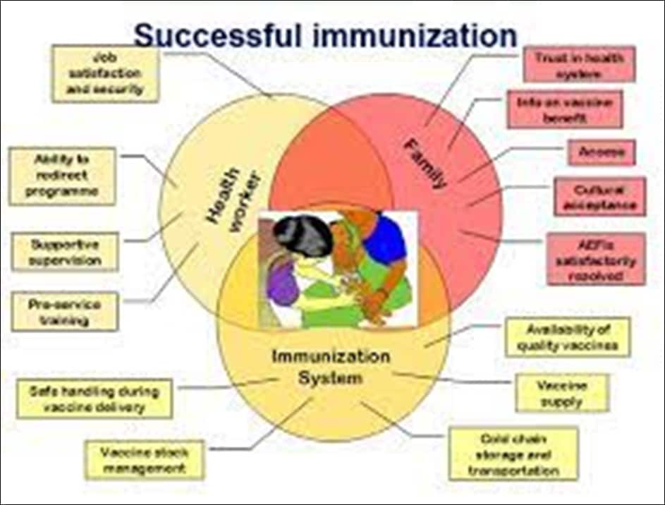 image of Implementation of the vaccination program