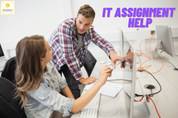 It Assignment Help